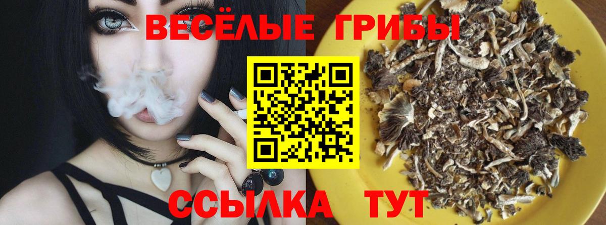 Галлюциногенные грибы мицелий Йошкар-Ола