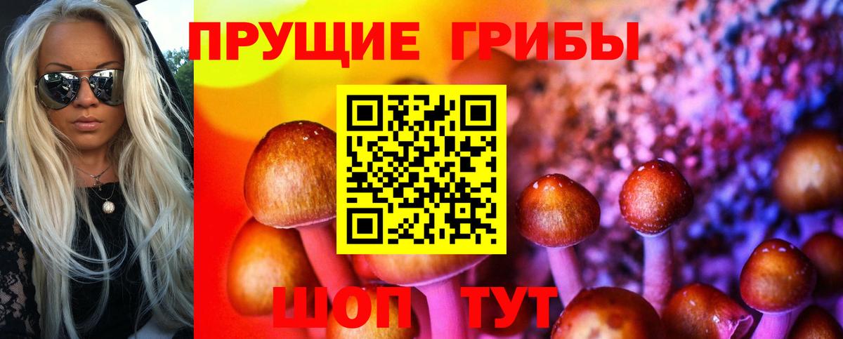 Псилоцибиновые грибы Cubensis  Вход с VPN  Йошкар-Ола 